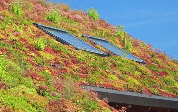 Bullington living roof systems
