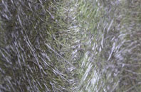 Bullington fibreglass roof work